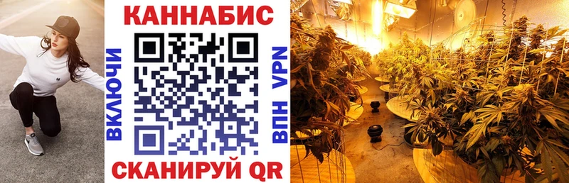 Где купить наркотики Тарко-Сале КЕТАМИН МАРИХУАНА Псилоцибиновые грибы Мефедрон Гашиш A-PVP COCAIN АМФЕТАМИН