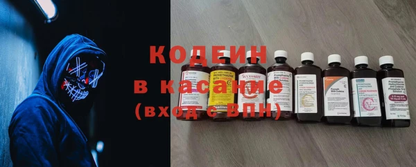 дживик Туринск