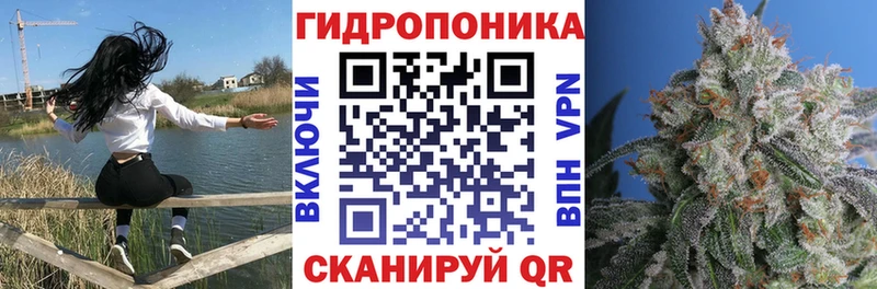 Конопля семена  Тарко-Сале 